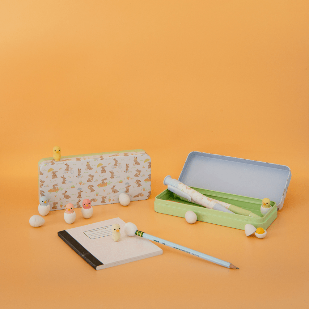 Chicks Eraser Set | Set of 6 - Porcupine Paper Co.