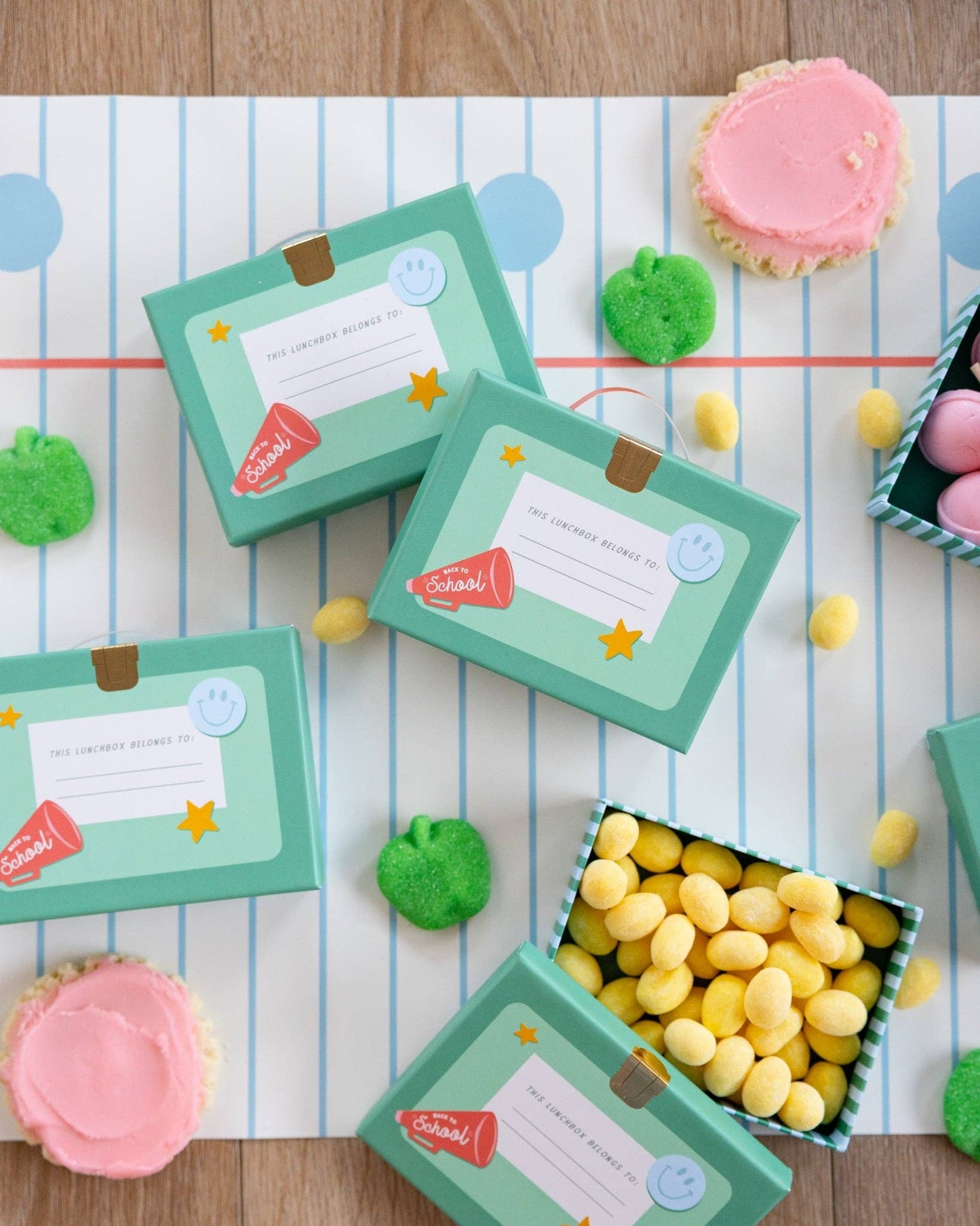 Lunchbox Treat Boxes | 6 count