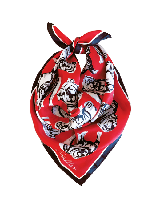 PREORDER | Sic 'Em Gameday Scarf | Red