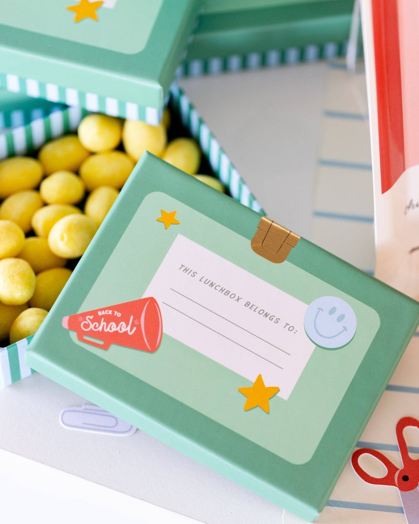 Lunchbox Treat Boxes | 6 count