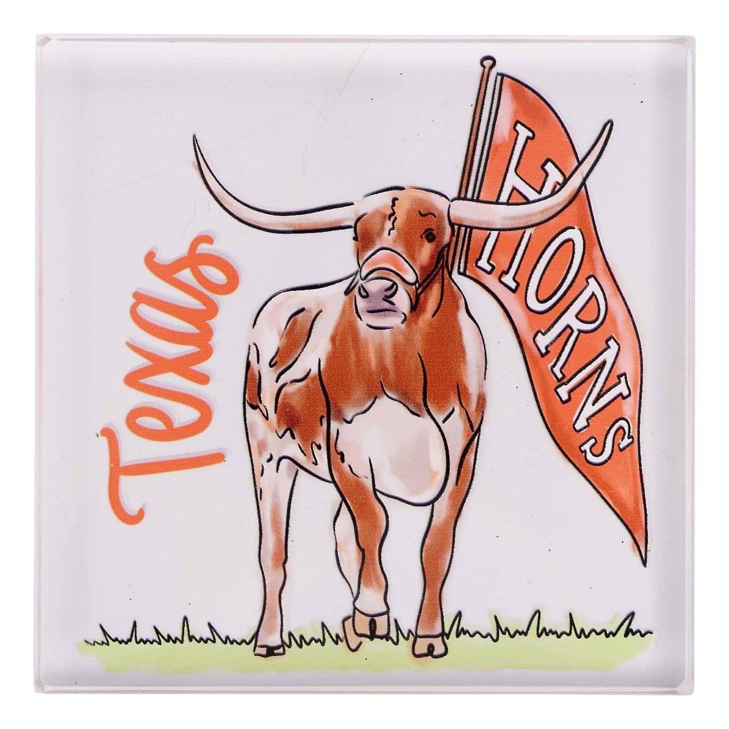 Texas  Mascot Napkin Weight
