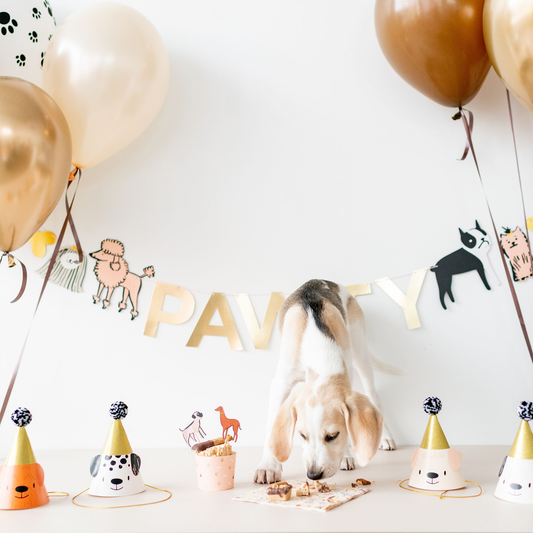 Bow Wow Party Hats | Pack of 8