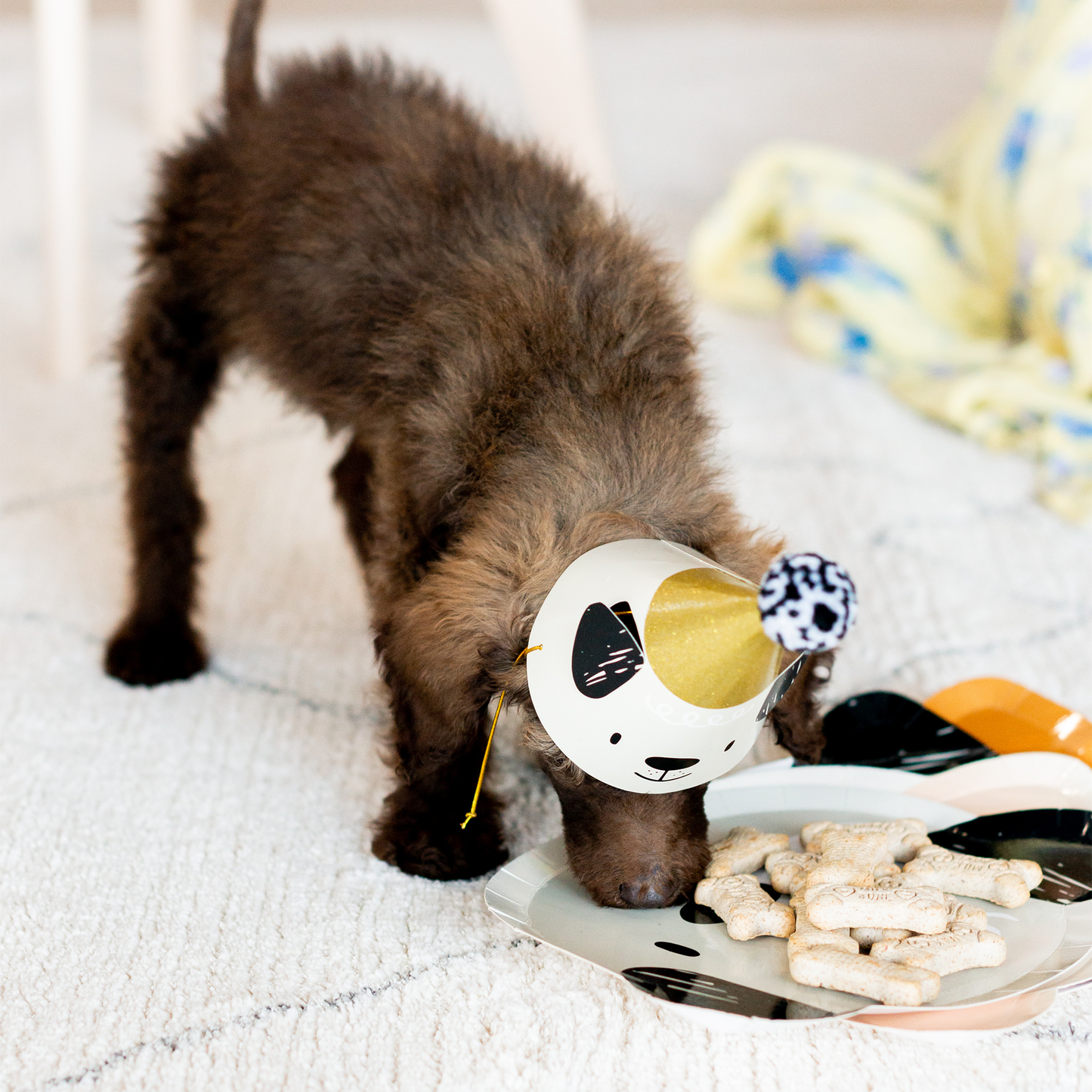 Bow Wow Party Hats | Pack of 8