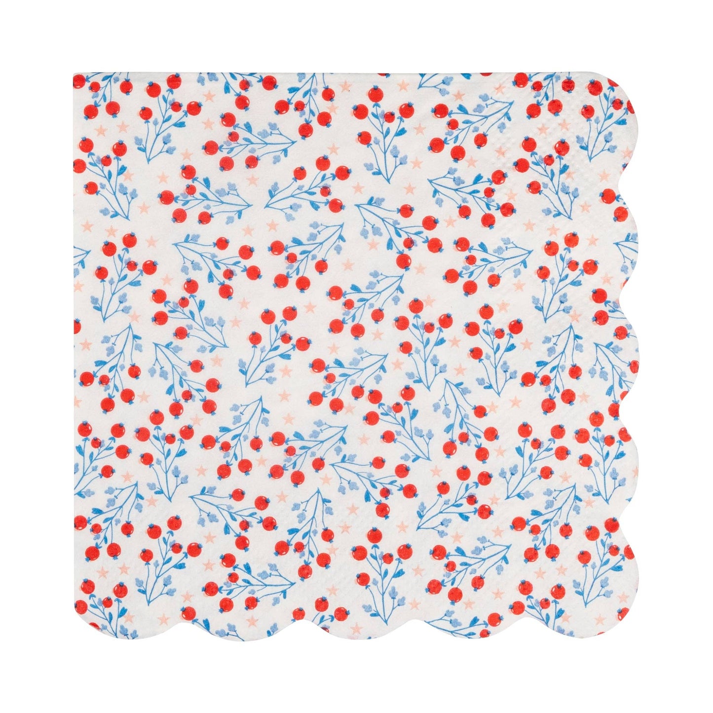 My Mind’s Eye floral cocktail paper napkin set with colorful blooming flower design on white background
