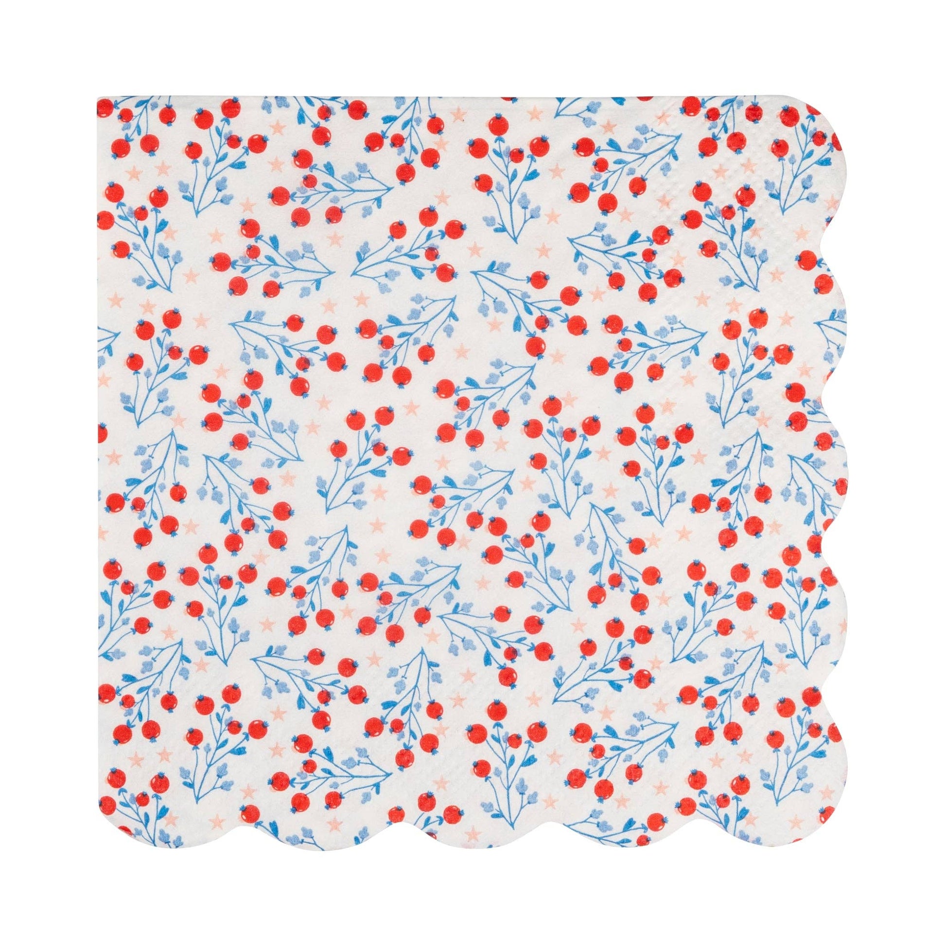 My Mind’s Eye floral cocktail paper napkin set with colorful blooming flower design on white background